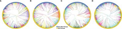 The rubber tree kinome: Genome-wide characterization and insights into coexpression patterns associated with abiotic stress responses